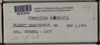 Image Associated With the Occurence